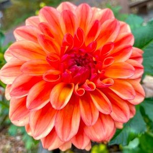 Meet your Posher, Lindsey